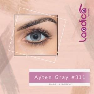 Ayten Gray # 311